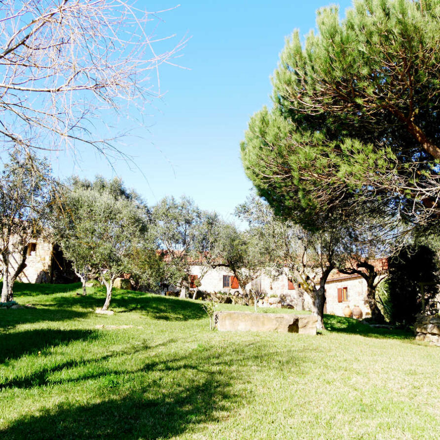 Villa de férias Nazaré costa da prata_jardim